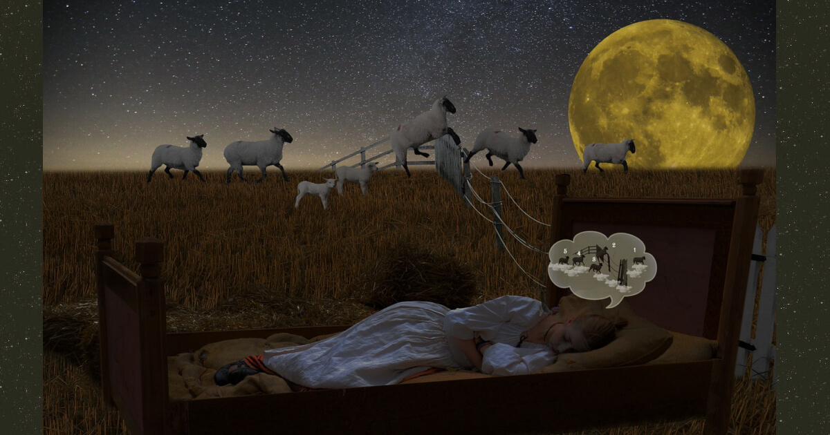 illustration of girl counting sheep in her bed